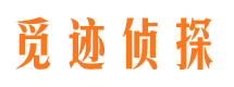 新民市婚姻调查